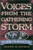 Voices from the Gathering Storm: The Coming of the American Civil War