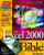 Microsoft Excel 2000 Bible