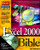 Microsoft Excel 2000 Bible