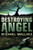 Destroying Angel (Righteous Series)