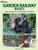 Garden Railway Basics (Garden Railway Books)