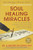 Soul Healing Miracles: Ancient and New Sacred Wisdom, Knowledge, and Practical Techniques for Healing the Spiritual, Mental, Emotional, and Physical Bodies