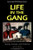 Life in the Gang: Family, Friends, and Violence (Cambridge Studies in Criminology)