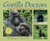 Gorilla Doctors: Saving Endangered Great Apes (Scientists in the Field Series)