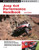 Jeep 4x4 Performance Handbook (Motorbooks Workshop)