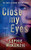 Close My Eyes: The Emotional and Intriguing Psychological Suspense Thriller