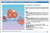 Illustrated Pharmacology Memory Cards: PharMnemonics