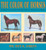 The Color of Horses: A Scientific and Authoritative Identification of the Color of the Horse