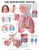 The Respiratory System Anatomical Chart