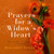 Prayers for a Widow's Heart: Honest Conversations with God