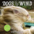 2016 Dogs in the Wind Wall Calendar