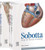 Sobotta Atlas of Human Anatomy, Package, 15th ed., English/Latin: mMusculoskeletal system, internal organs, head, neck, neuroanatomy - with online access to e-sobotta.com, 15e