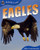 Animal Lives: Eagles