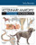 Introduction to Veterinary Anatomy and Physiology Workbook, 2e