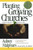 Planting Growing Churches for the 21st Century: A Comprehensive Guide for New Churches and Those Desiring Renewal