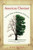 American Chestnut: The Life, Death, and Rebirth of a Perfect Tree