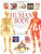 The Human Body (An Illustrated Guide to Its Structure, Function, and Disorders)