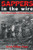 Sappers in the Wire: The Life and Death of Firebase Mary Ann (Williams-Ford Texas A&M University Military History Series)