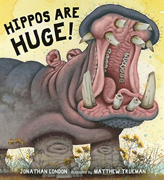 Hippos Are Huge!