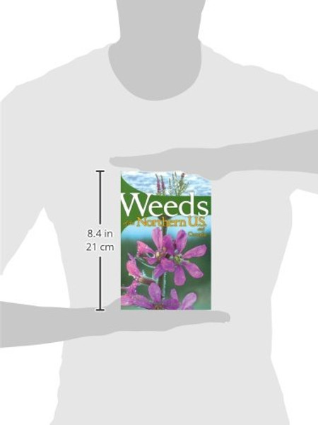 Weeds of the Northern U.S. and Canada: A Guide for Identification