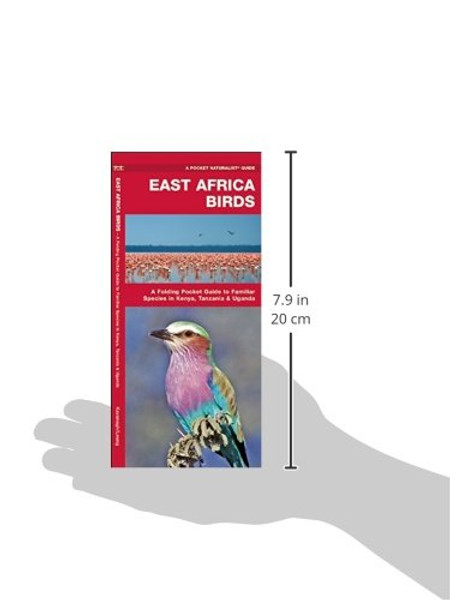 East Africa Birds: A Folding Pocket Guide to Familiar Species in Kenya, Tanzania & Uganda (A Pocket Naturalist Guide)
