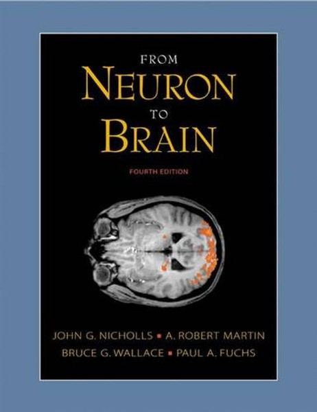 From Neuron to Brain: A Cellular and Molecular Approach to the Function of the Nervous System, Fourth Edition
