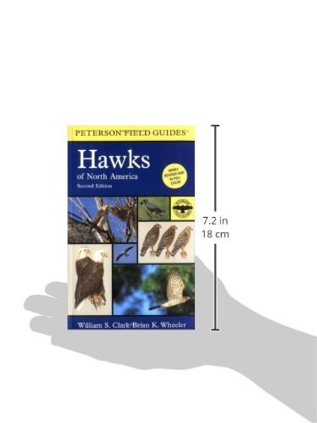 A Field Guide to Hawks of North America (Peterson Field Guides)