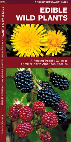 Edible Wild Plants: A Folding Pocket Guide to Familiar North American Species (A Pocket Naturalist Guide)