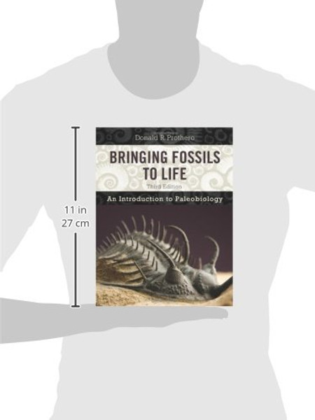 Bringing Fossils To Life: An Introduction To Paleobiology