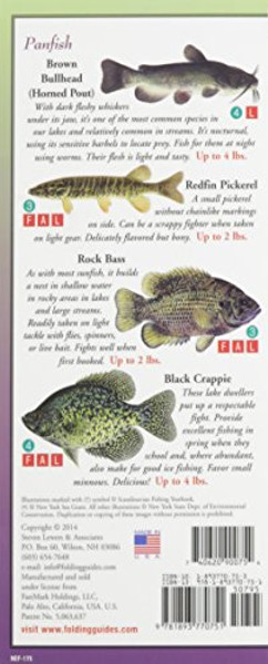 Freshwater Fishes of New England & Adirondacks: Folding Guide (Foldingguides)