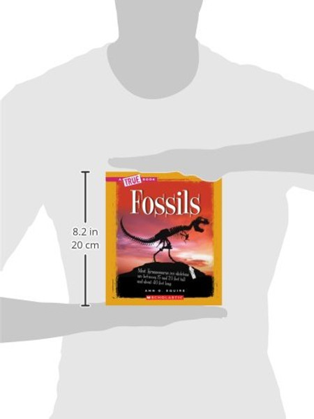 Fossils (True Books)