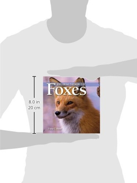 Exploring the World of Foxes