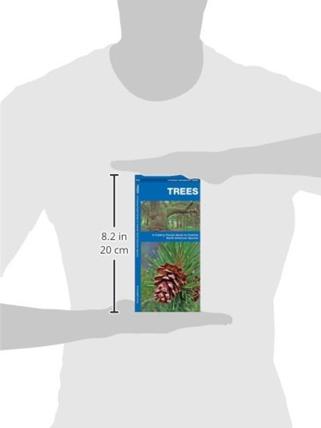 Trees: A Folding Pocket Guide to Familiar North American Species (A Pocket Naturalist Guide)