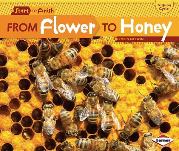 From Flower to Honey (Start to Finish: Nature's Cycles)