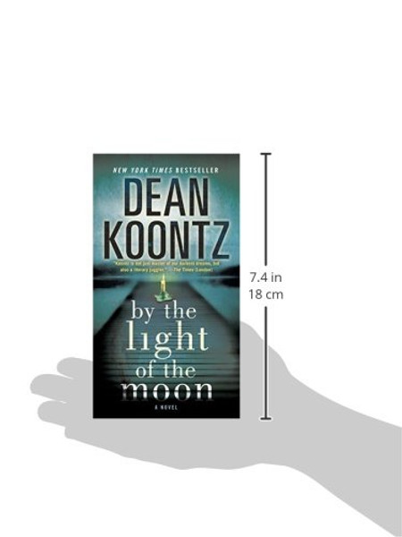 By the Light of the Moon: A Novel