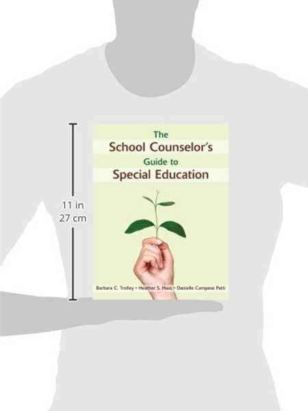 The School Counselor's Guide to Special Education