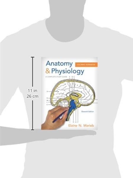 Anatomy & Physiology Coloring Workbook: A Complete Study Guide