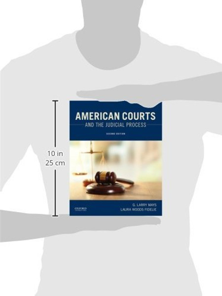 American Courts and the Judicial Process