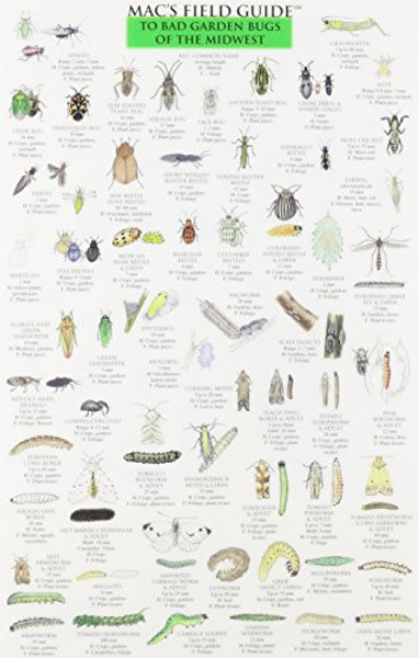 Mac's Field Guide to Midwest Garden Bugs (Mac's Guides (Flash Cards))