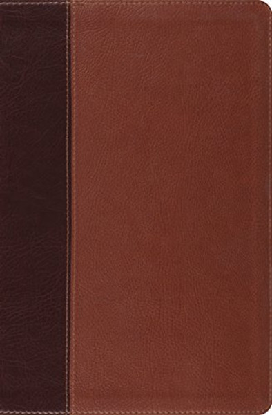 ESV Verse-by-Verse Reference Bible (TruTone, Brown/Saddle, Timeless Design)