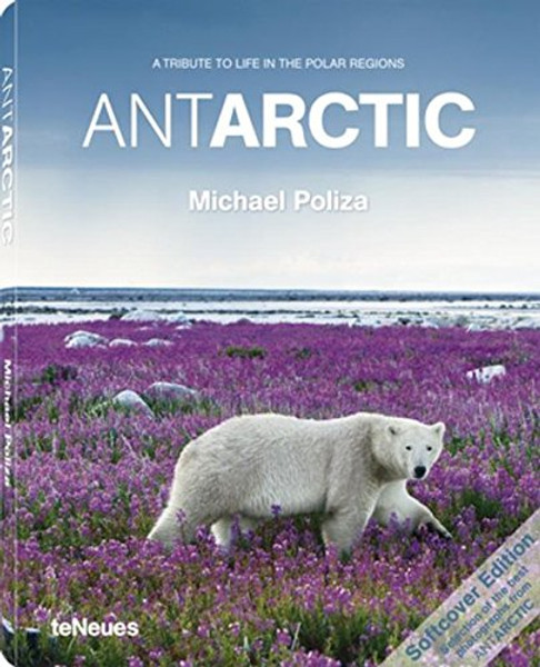 AntArctic (English and Spanish Edition)