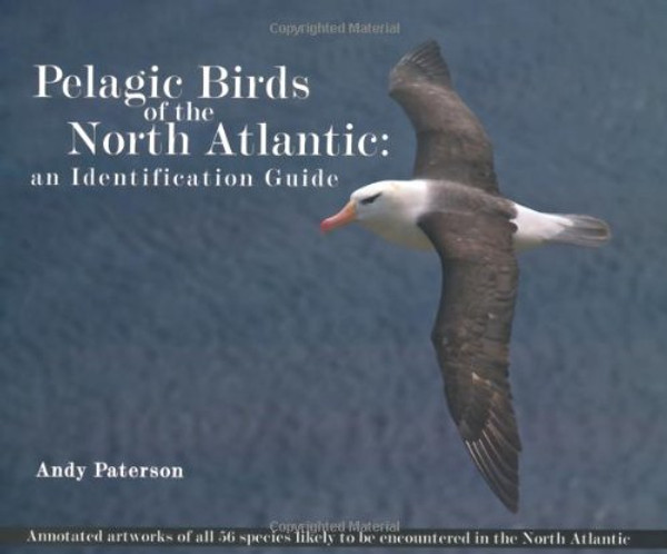 Pelagic Birds of the North Atlantic