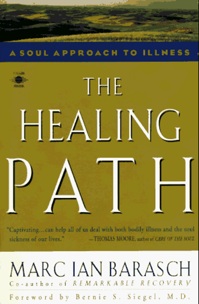 The Healing Path: A Soul Approach to Illness (Arkana)