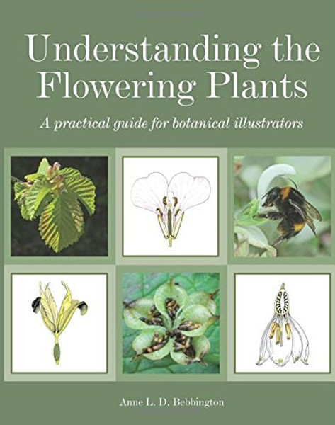 Understanding the Flowering Plants: A Practical Guide for Botanical Illustrators