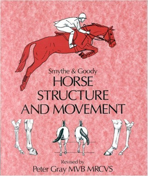 Horse Structure and Movement