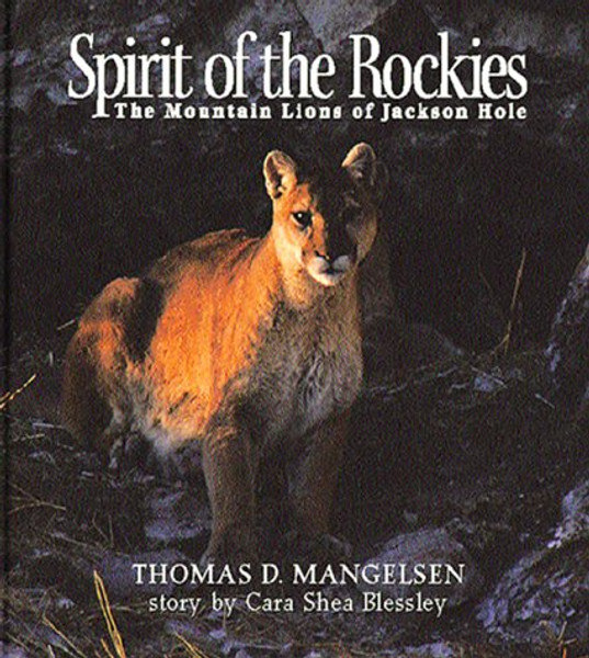 Spirit of the Rockies: The Mountain Lions of Jackson Hole