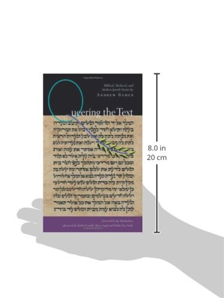 Queering the Text: Biblical, Medieval, and Modern Jewish Stories (White Crane Wisdom)