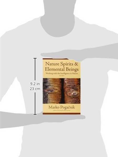 Nature Spirits & Elemental Beings: Working with the Intelligence in Nature