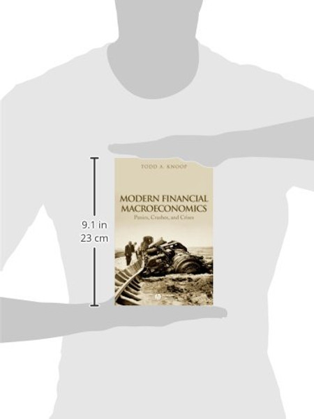 Modern Financial Macroeconomics: Panics, Crashes, and Crises