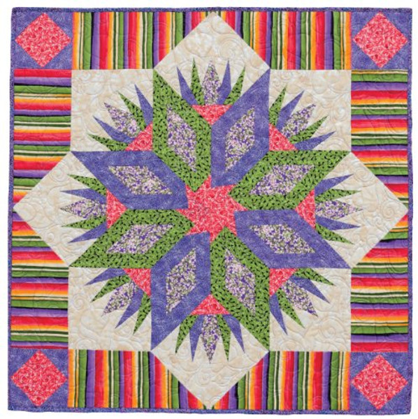 Paper Piecing Perfect Points: 13 Fabulous Quilt Patterns